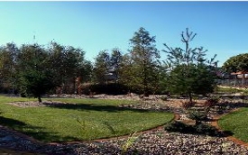 OgrodyPiotra.eu Piotr Karczewski,