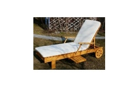 Haiku Studio Michał Pliszka