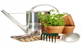 Elplant Hurtownia ogrodnicza