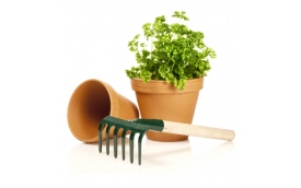 Elplant Hurtownia ogrodnicza