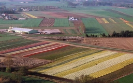 Hurtownia Ogrodnicza Bogdan Królik