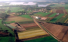 Hurtownia Ogrodnicza Bogdan Królik