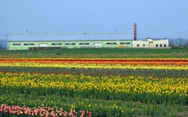 Hurtownia Ogrodnicza Bogdan Królik