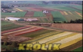 Hurtownia Ogrodnicza Bogdan Królik