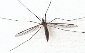 Siedziba firmy P.P.H.U 