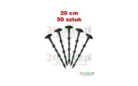 AMBIS Maciej Pronobis