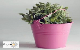 Fioreo - Cieślak International sp. z o.o.