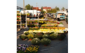 Giełda Kwiatów w Częstochowie