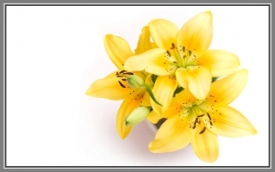 Wielkopolska Gildia Rolno-Ogrodnicza S.A.