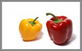 Wielkopolska Gildia Rolno-Ogrodnicza S.A.