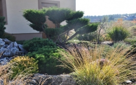 Małgorzata Tylec  Projektant ogrodów