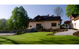 Dawid Centrum Ogrodnicze