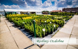 Centrum Ogrodnicze Łukasz Labrzycki