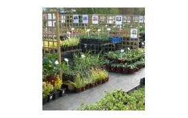 Centrum Ogrodnicze Kalisiak