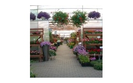 Centrum Ogrodnicze Kalisiak