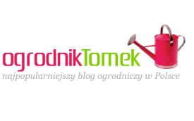 Projekt Zieleń – Pracownia Ogrodnika Tomka