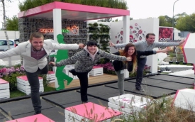 Projekt Zieleń – Pracownia Ogrodnika Tomka