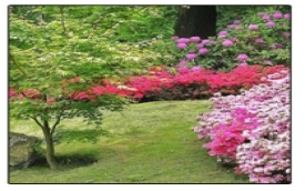 LARIX - USŁUGI OGRODNICZE I PORZĄDKOWE