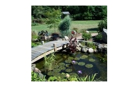 Agrol usługi ogrodnicze i porządkowe