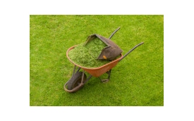 Porady.kwiaty-ogrody.pl