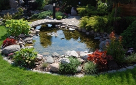 Ogrody A-Z, Aleksandra Borchmann