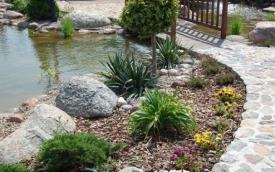 Ogrody A-Z, Aleksandra Borchmann