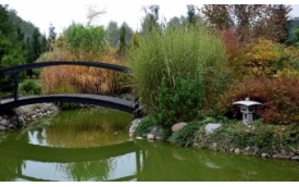 AVT Korporacja Sp.z o.o