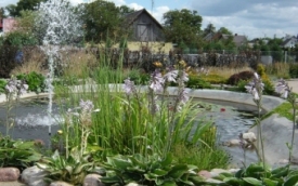 AVT Korporacja Sp.z o.o