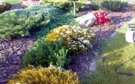 MARKOWE OGRODY - Marek Pęcikiewicz