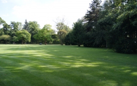 Na Zielono - Trawnik to Nasza Specjalność