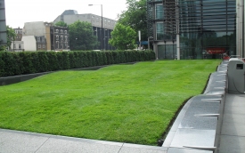 Na Zielono - Trawnik to Nasza Specjalność