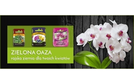 P.P.U.H. Zielona Oaza