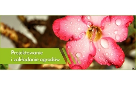 P.P.U.H. Zielona Oaza