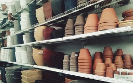 Centrum Ogrodnicze Strączkowscy