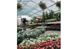 Centrum Ogrodnicze Strączkowscy