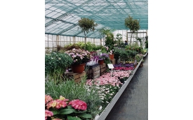 Centrum Ogrodnicze Strączkowscy