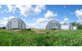 Arlen Team Sp. z o.o.