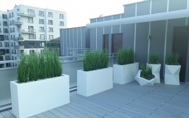 Zone Pots Beata Warlikowska