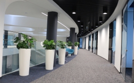 Zone Pots Beata Warlikowska