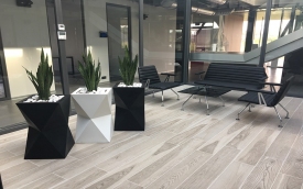 Zone Pots Beata Warlikowska