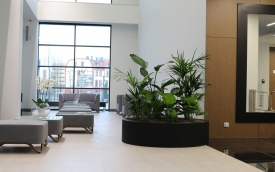 Zone Pots Beata Warlikowska