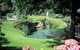 Gordo Studio - Autoryzowany Dystrybutor OASE