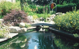 Gordo Studio - Autoryzowany Dystrybutor OASE