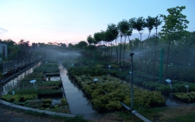 Dawid Centrum Ogrodnicze