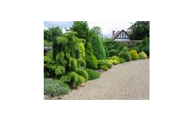 Sklep Ogrodniczy ROSA