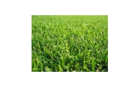 Sklep Ogrodniczy ROSA