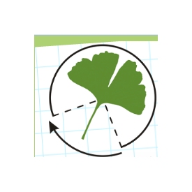 OgrodyPiotra.eu Piotr Karczewski,