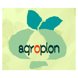 Siedziba firmy P.P.H.U 