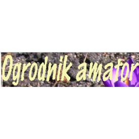 Ogrodnik-amator.pl